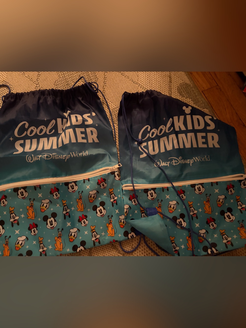 Two Disney cool kids summer backpacks